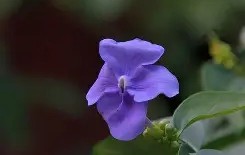 九游会官方app -江协科大stm32资料下载官方正版